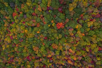 BVI Annual Return Template Contents Explained - Asterisk BVI