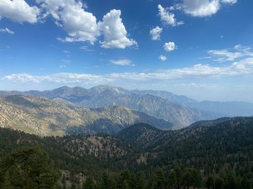 BVIAccountants - BVI Annual Return