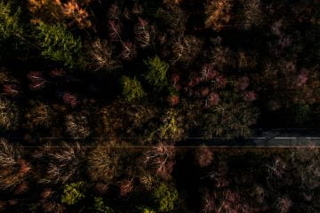 BVI Annual Return Extension