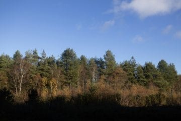 BVIAccountants - Accounting for BVI Crypto Companies