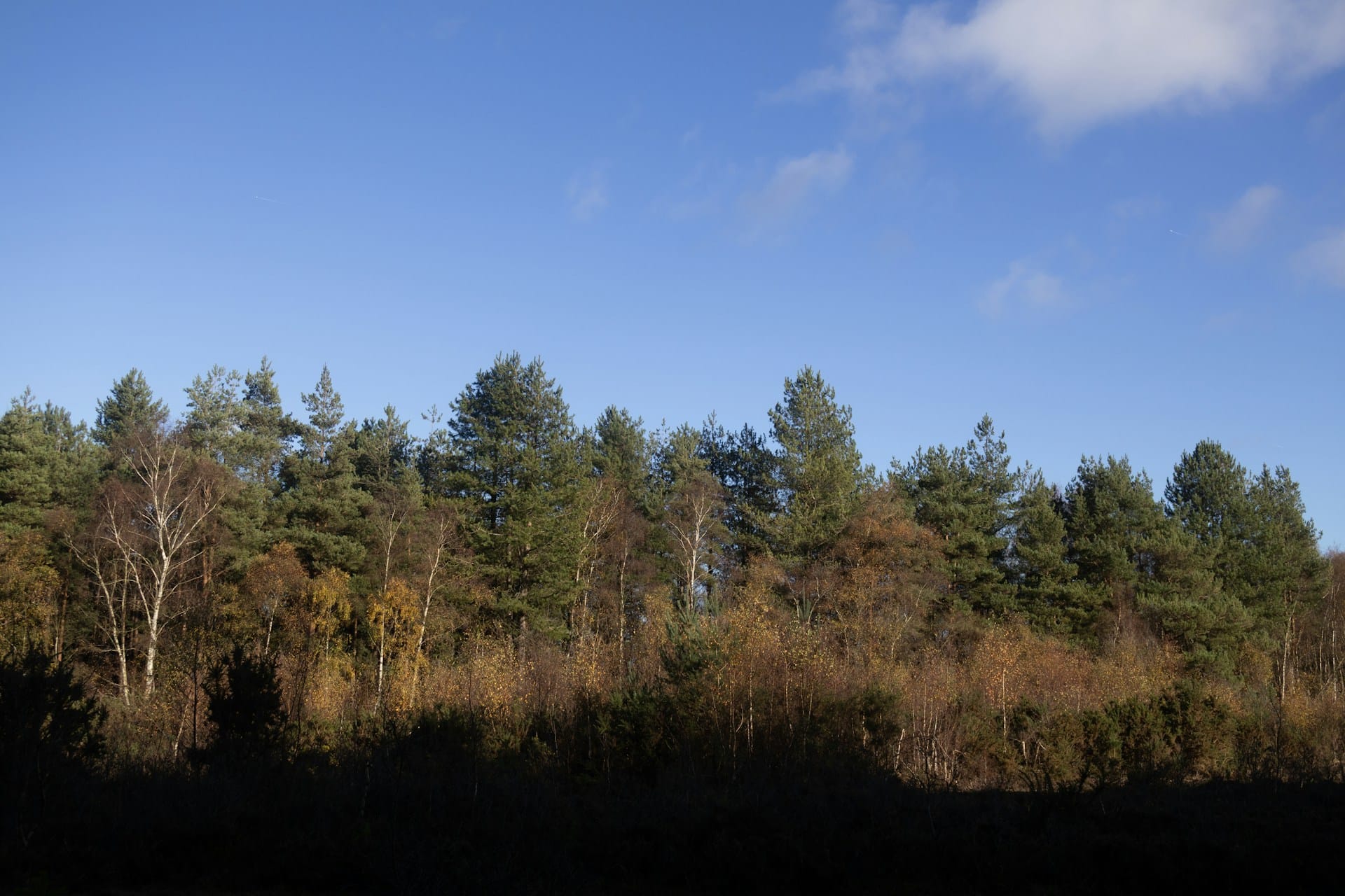 Accounting for Crypto Companies - US GAAP Adopts Fair Value for Crypto  Assets – Will IFRS and EU Follow? - BVI Accountants