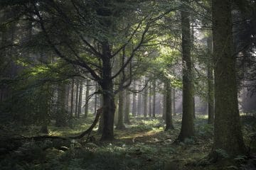 BVIAccountants - AsteriskBVI - BVI Accounting and Annual Financial Return preparation services